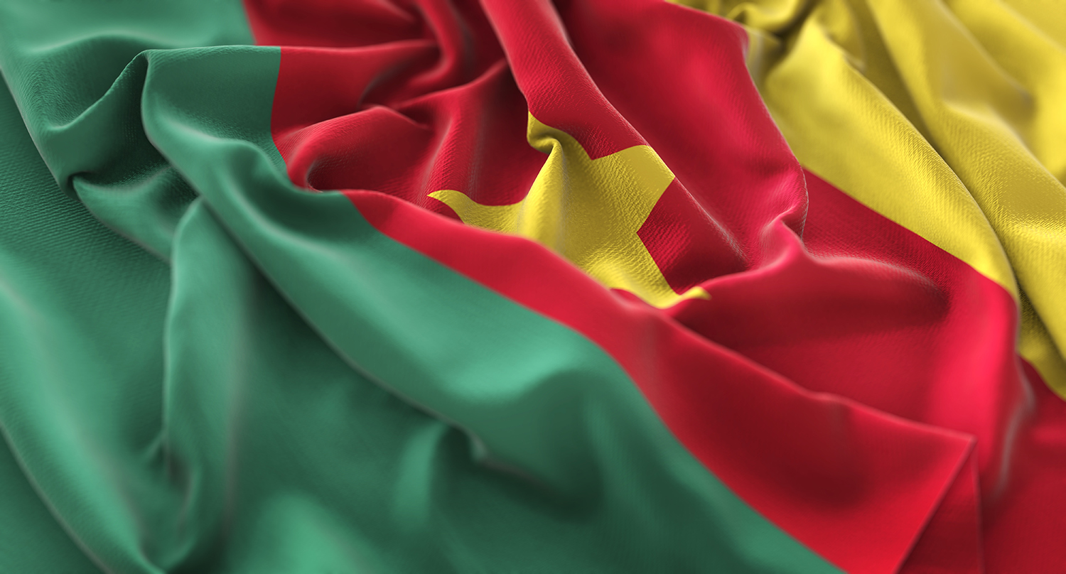drapeau du Cameroun